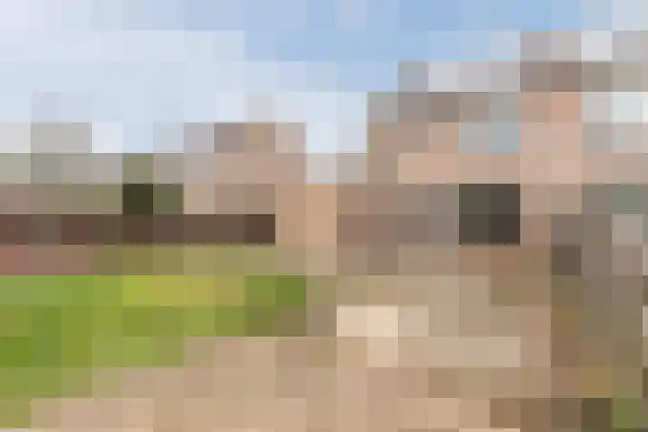 Bergerhei 32 Veldhoven thumbnail 4