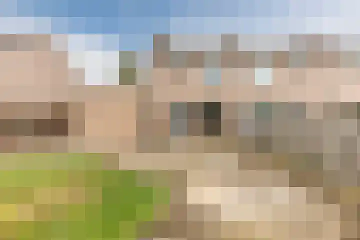 Bergerhei 32 Veldhoven thumbnail 42