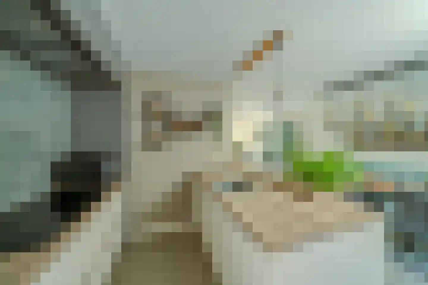Bergerhei 69 Veldhoven thumbnail 17