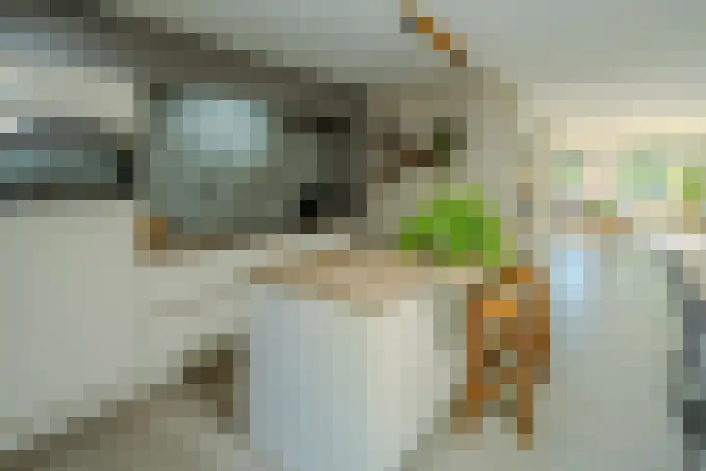 Bergerhei 69 Veldhoven thumbnail 18