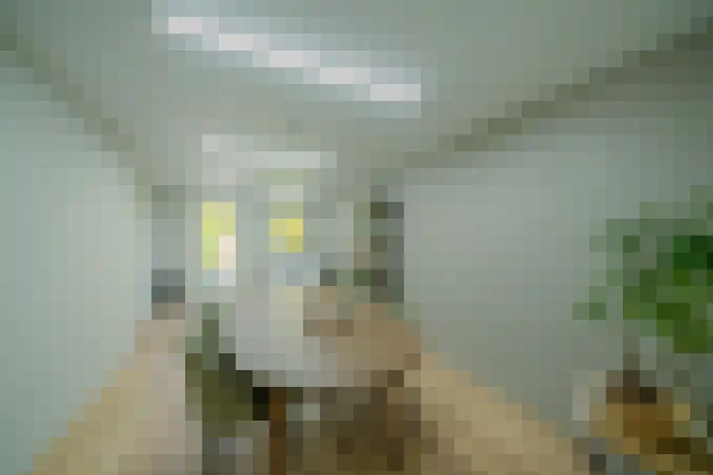 Bergerhei 69 Veldhoven thumbnail 24