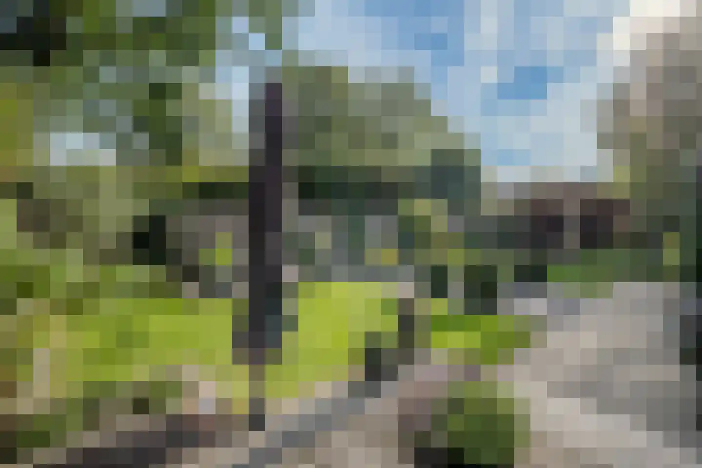 Bergerhei 69 Veldhoven thumbnail 26