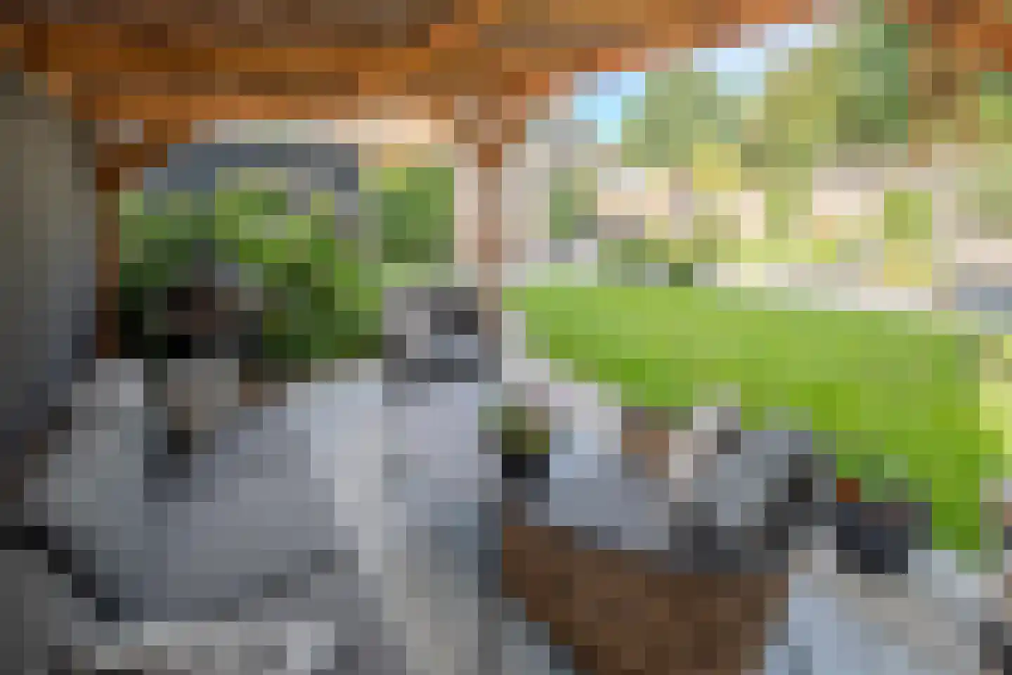 Bergerhei 69 Veldhoven thumbnail 32
