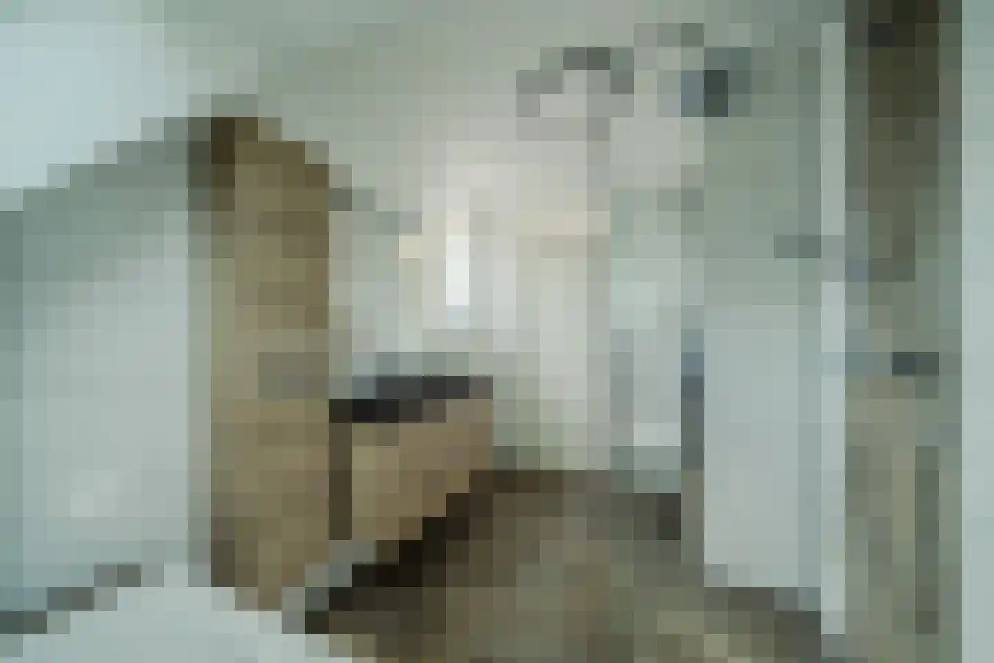 Bergerhei 69 Veldhoven thumbnail 41