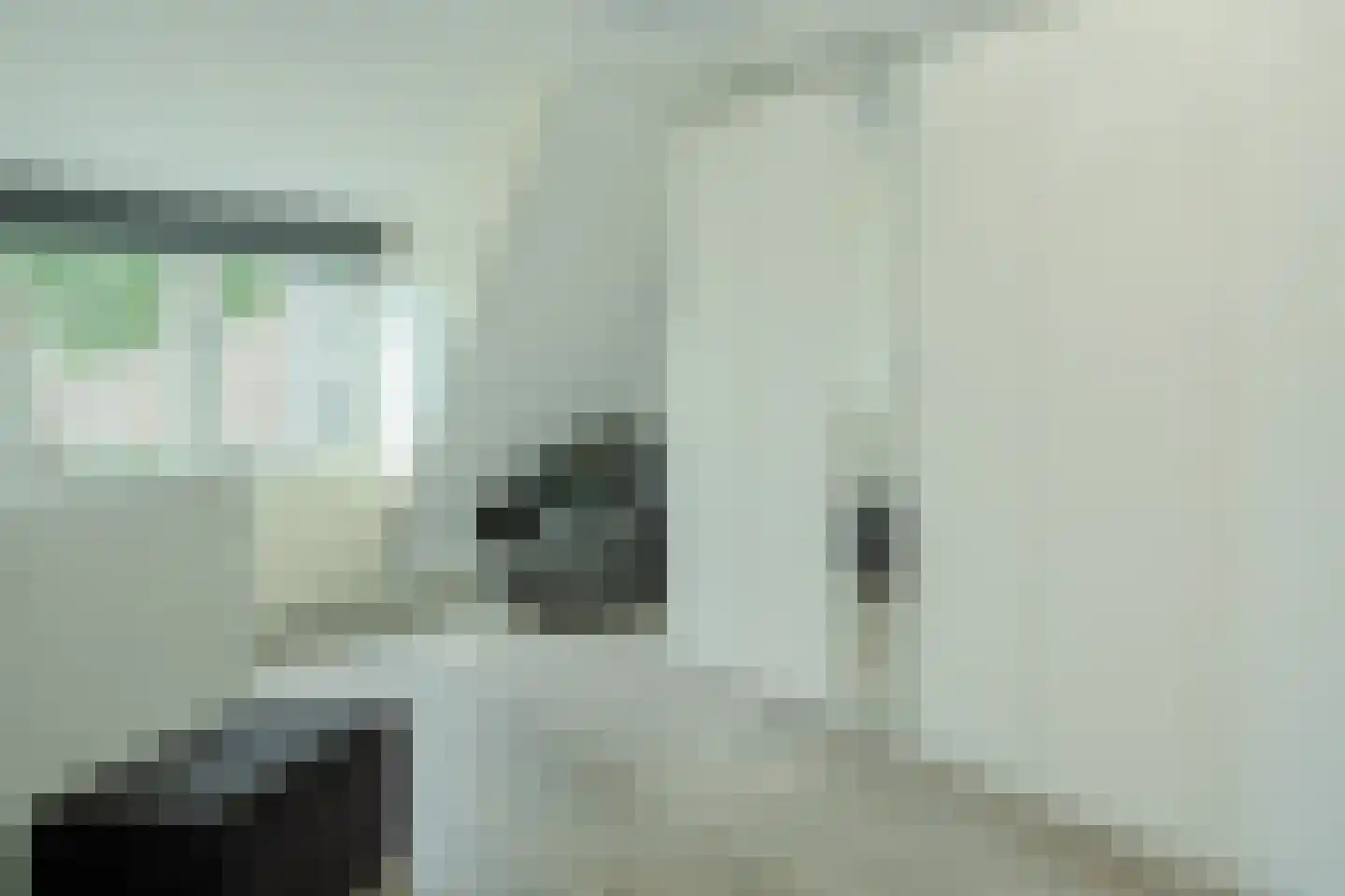 Bergerhei 69 Veldhoven thumbnail 48