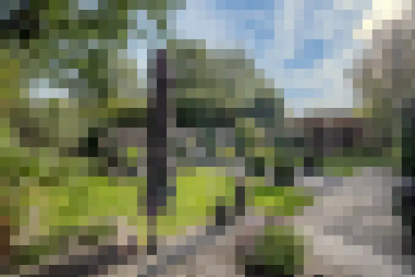 Bergerhei 69 Veldhoven thumbnail 55