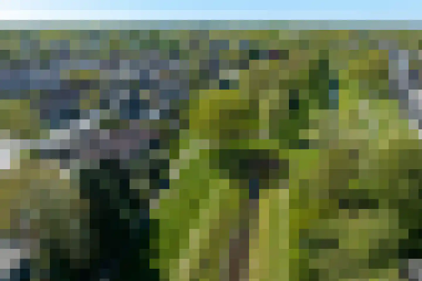 Bergerhei 69 Veldhoven thumbnail 61