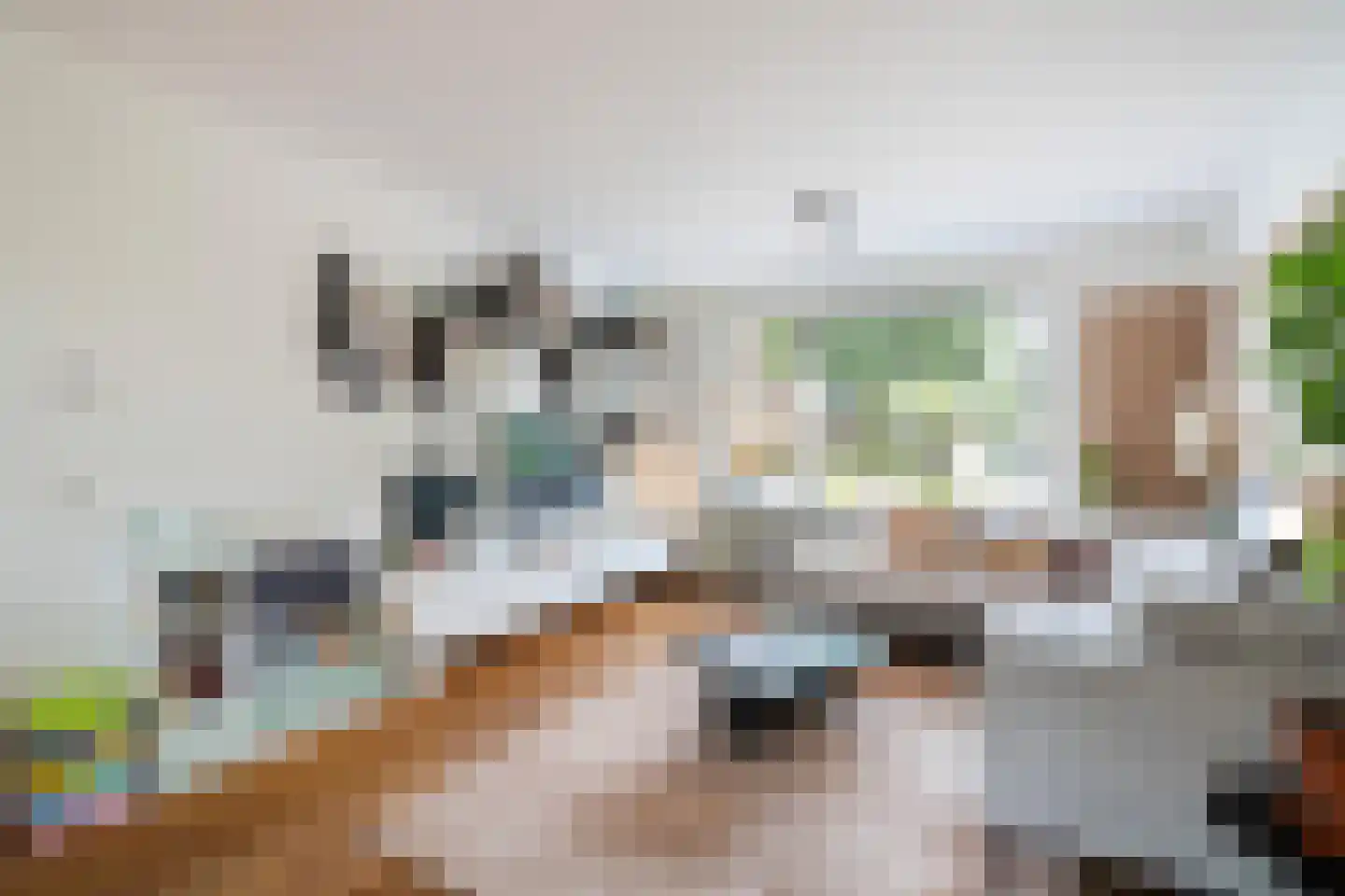 Bergerothweg 28 Stramproy thumbnail 13