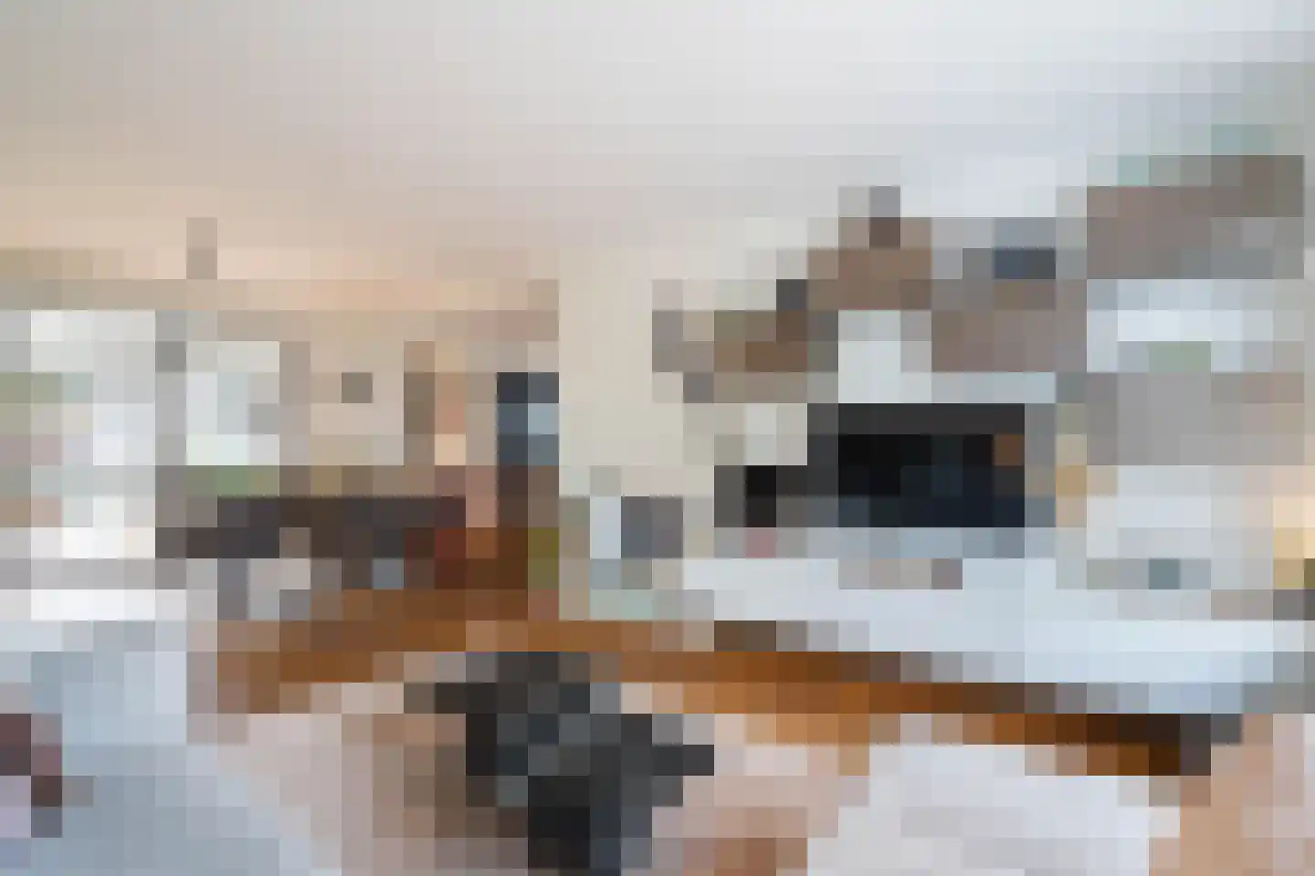 Bergerothweg 28 Stramproy thumbnail 14
