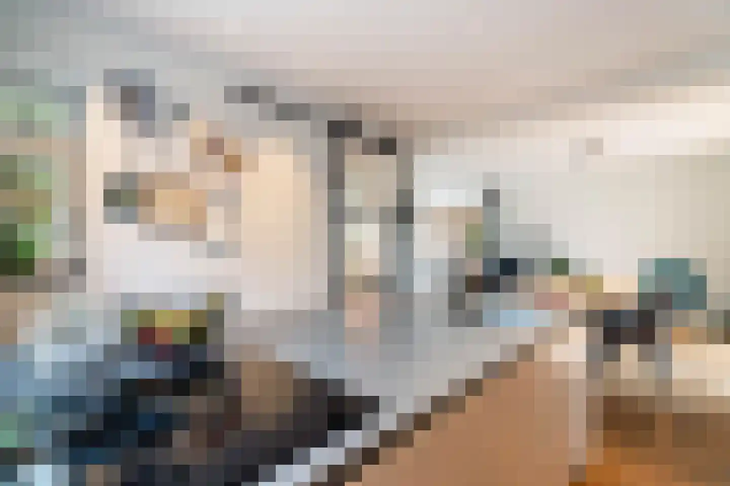 Bergerothweg 28 Stramproy thumbnail 21