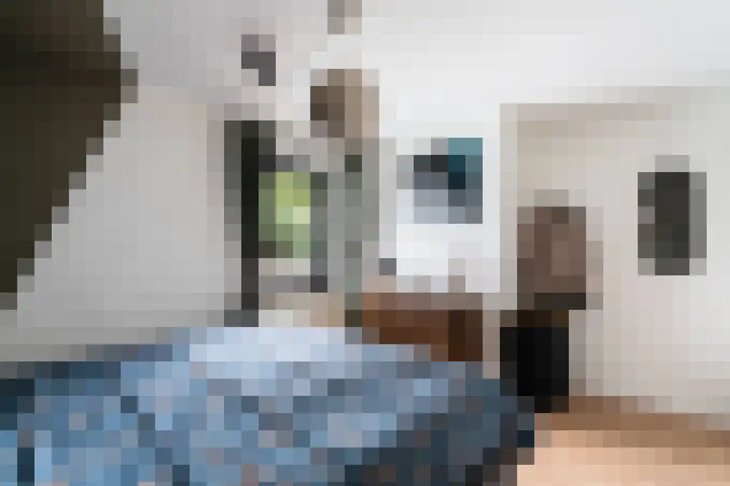 Bergerothweg 28 Stramproy thumbnail 33