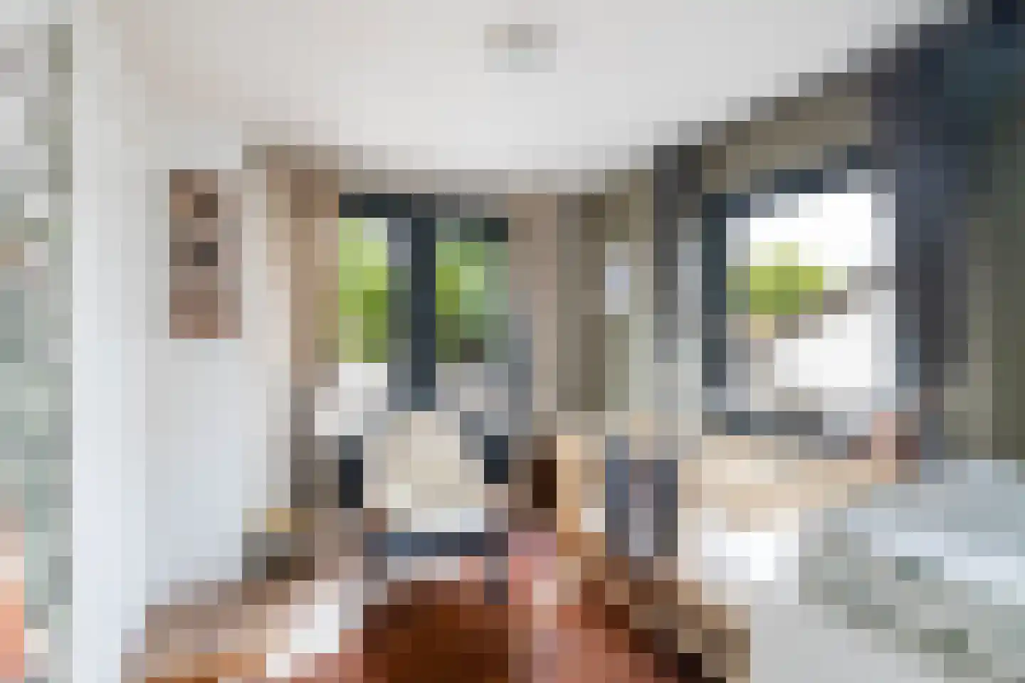 Bergerothweg 28 Stramproy thumbnail 34