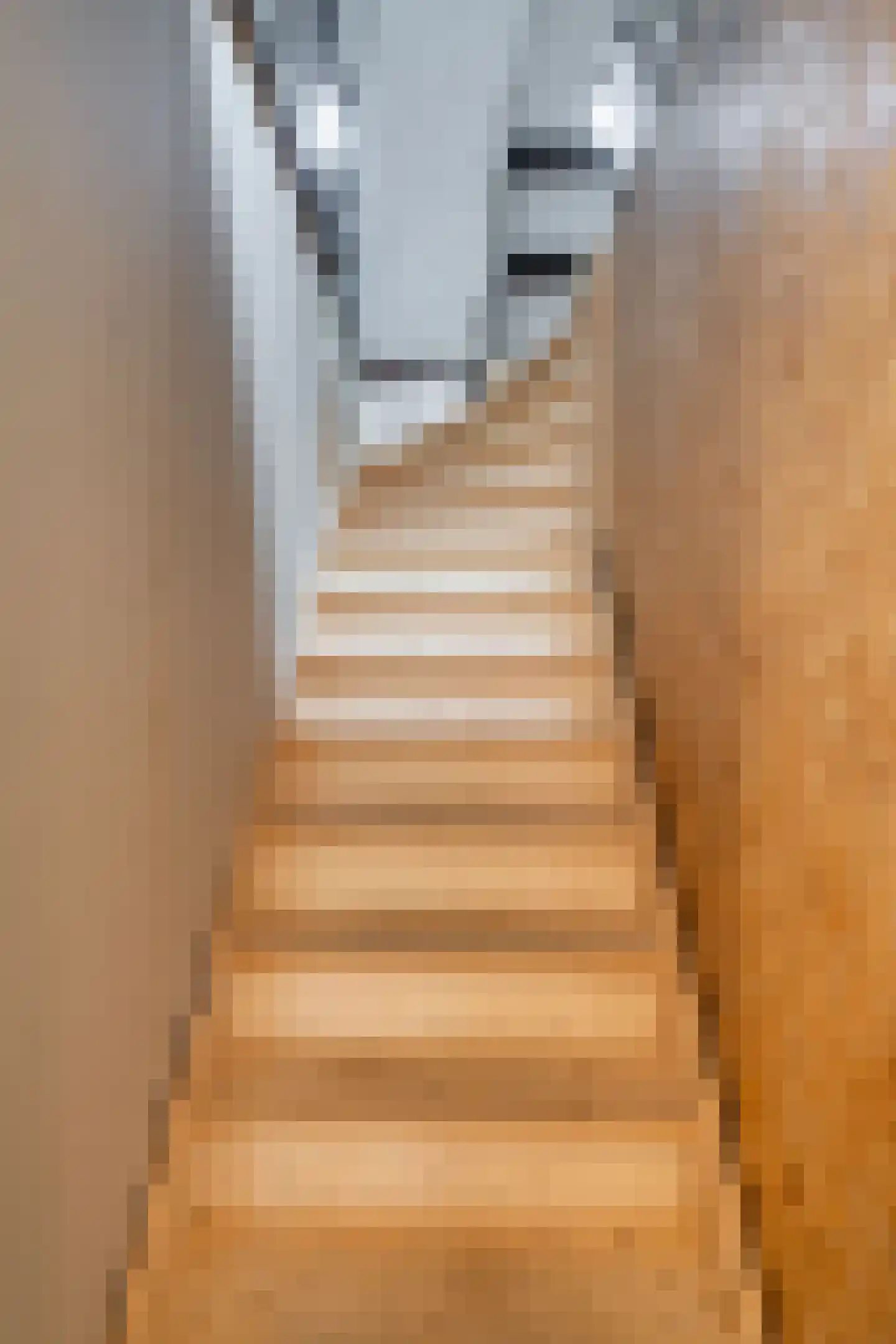 Bergerothweg 28 Stramproy thumbnail 42