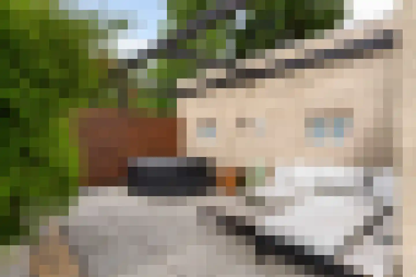 Bergerothweg 28 Stramproy thumbnail 48