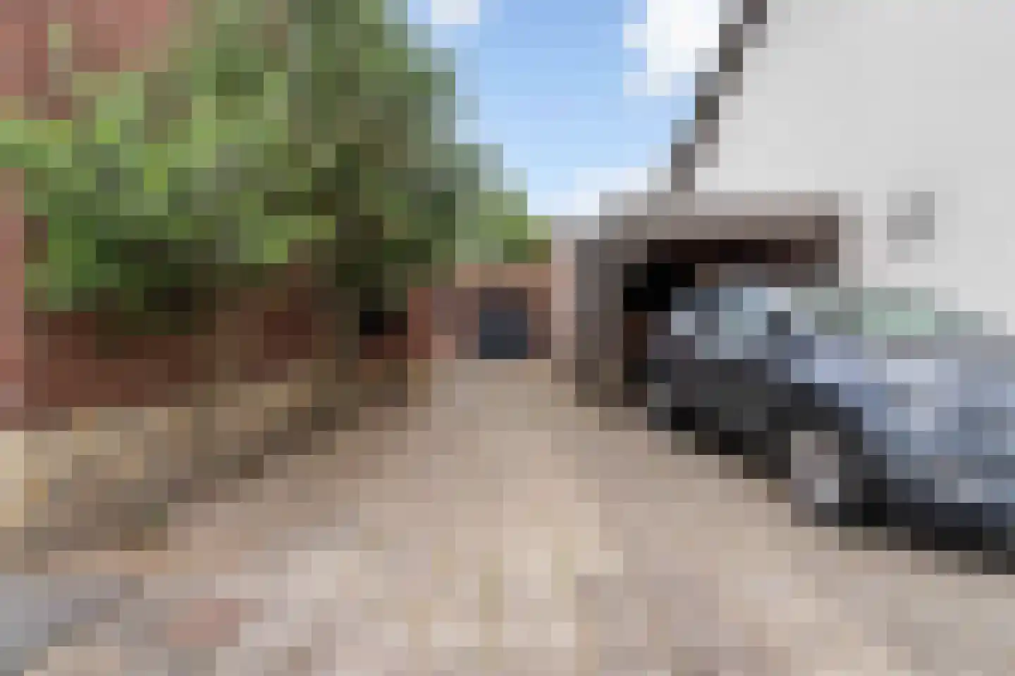 Bergerothweg 28 Stramproy thumbnail 51