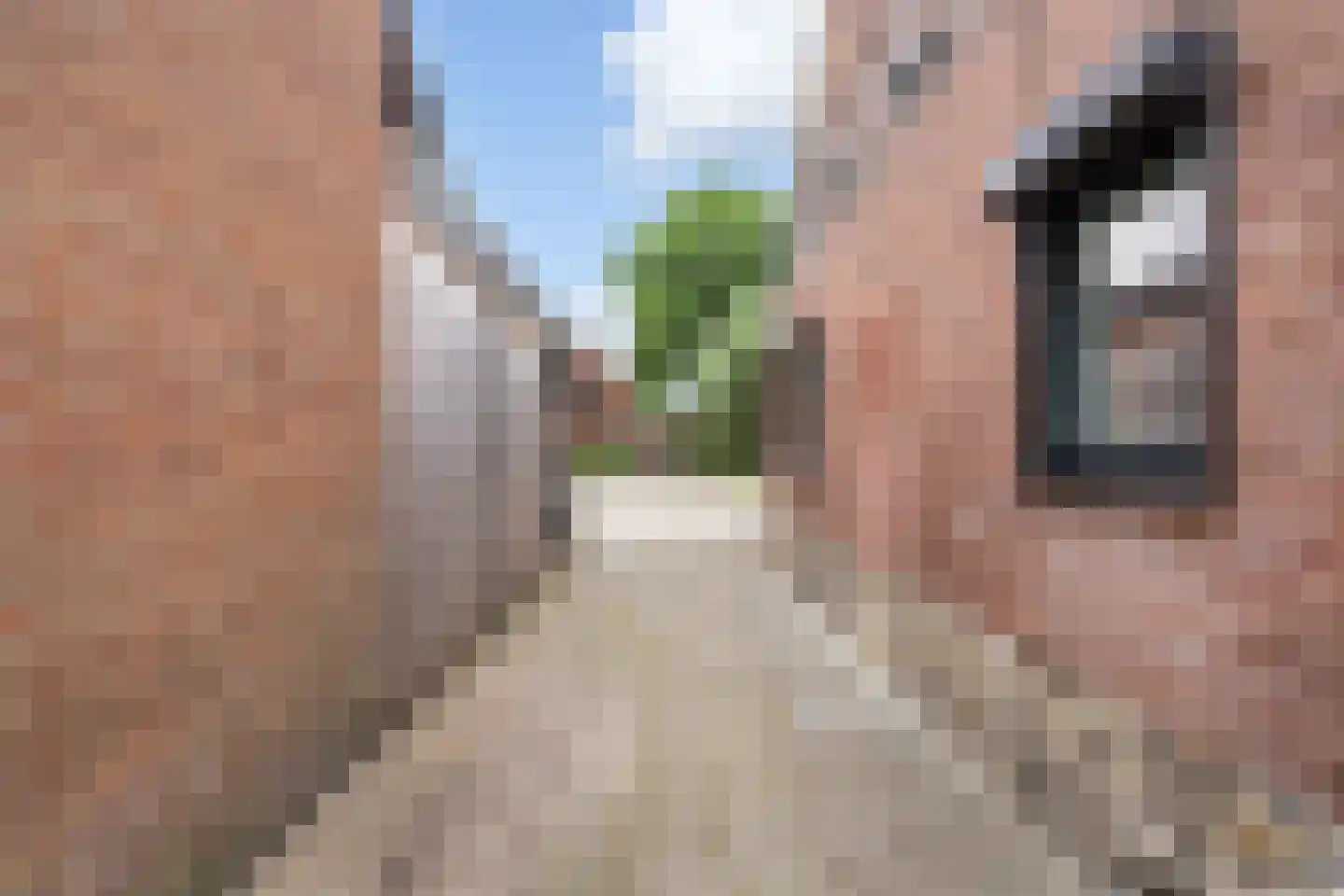 Bergerothweg 28 Stramproy thumbnail 52