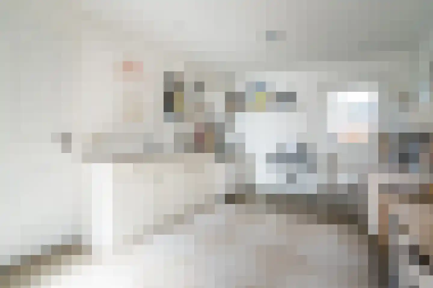 Bergerothweg 42 Stramproy thumbnail 14
