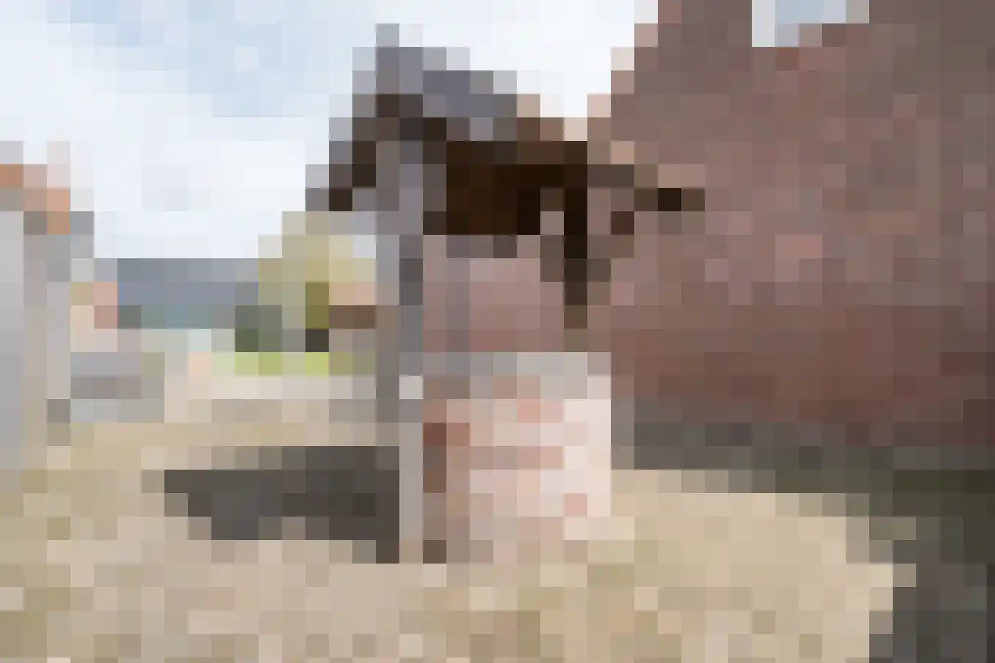 Bergerothweg 42 Stramproy thumbnail 29