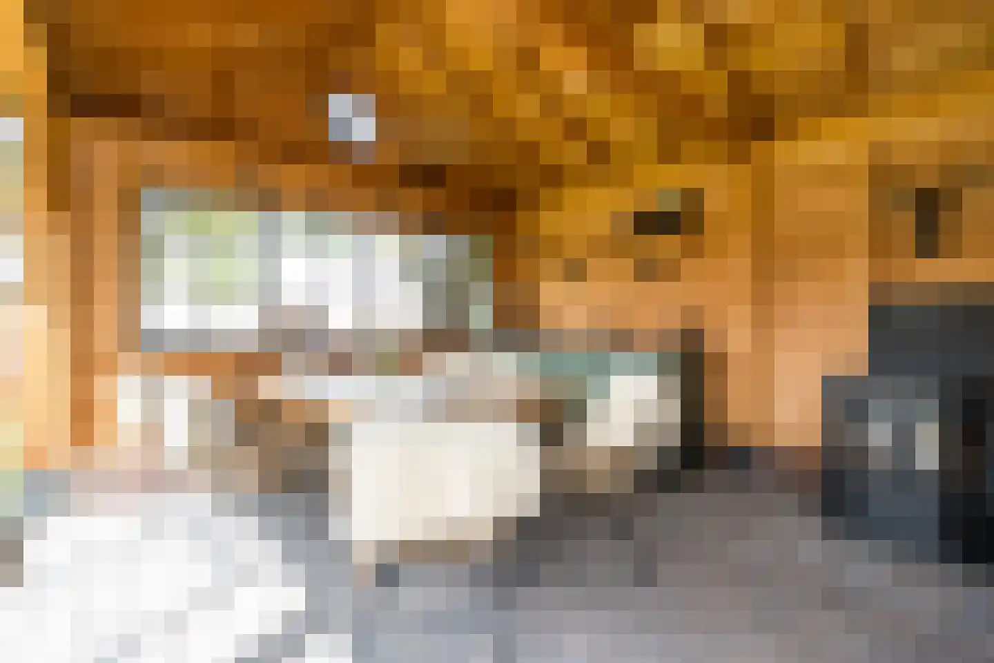 Bergerothweg 42 Stramproy thumbnail 32
