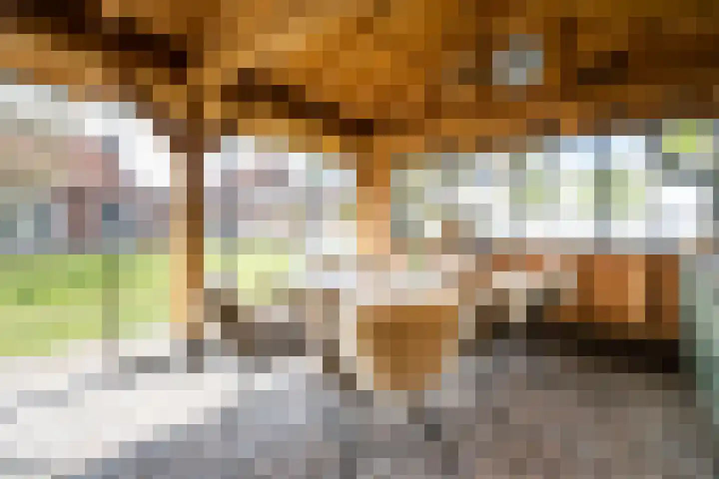 Bergerothweg 42 Stramproy thumbnail 4