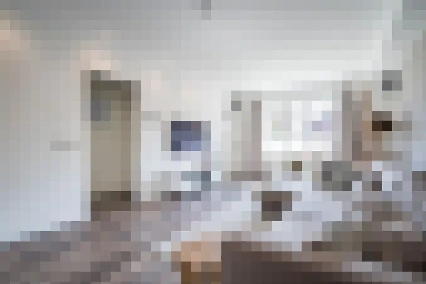 Bergerothweg 42 Stramproy thumbnail 5