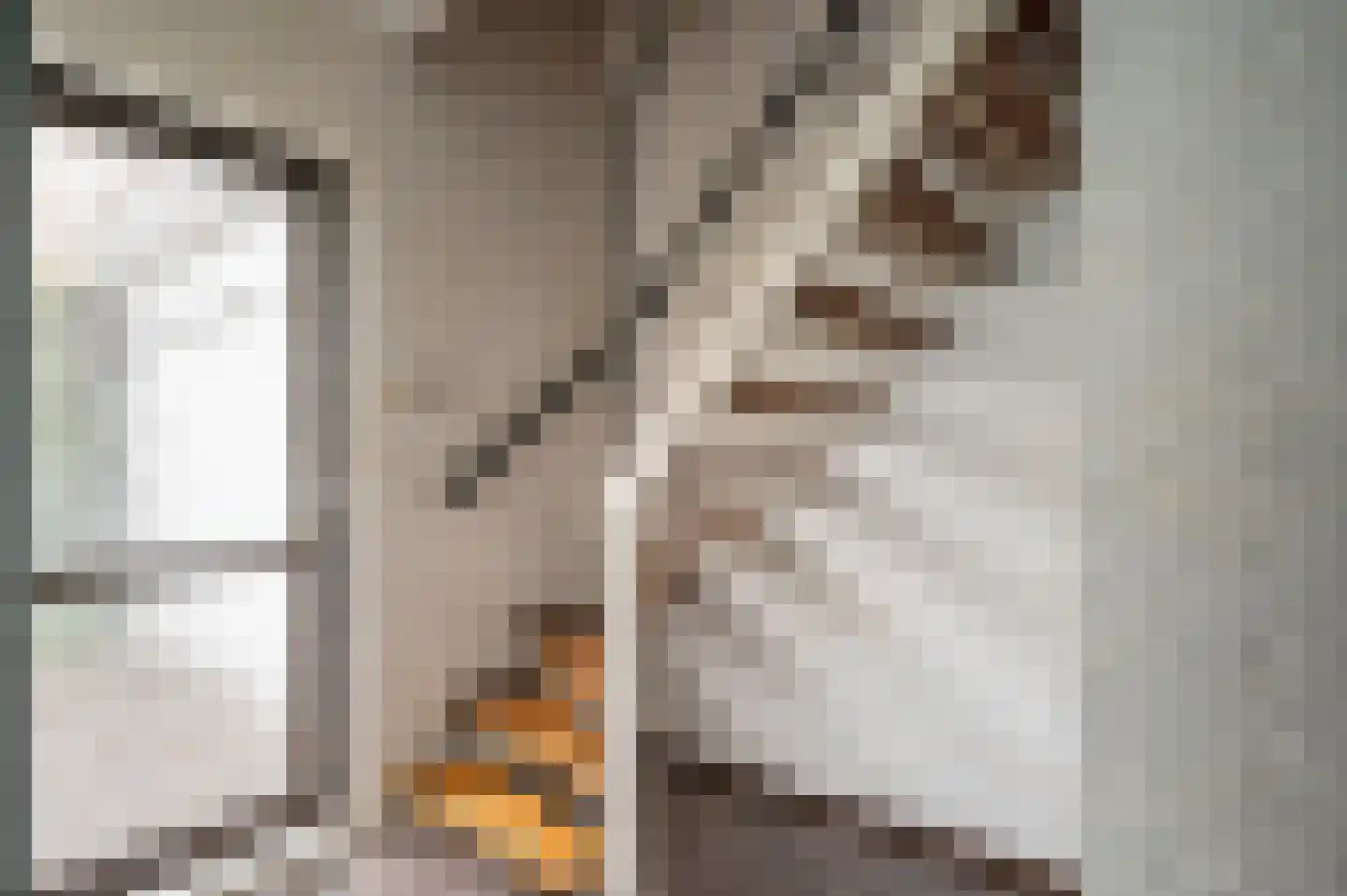 Bergerslag 27 Staphorst thumbnail 14