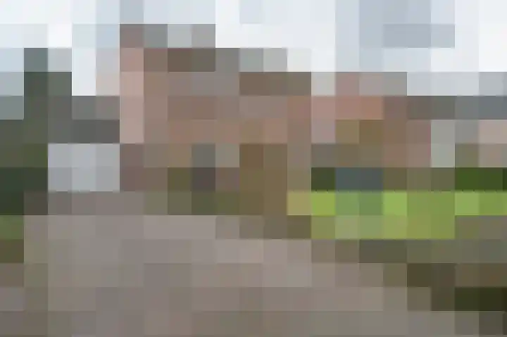 Bergerslag 27 Staphorst thumbnail 39