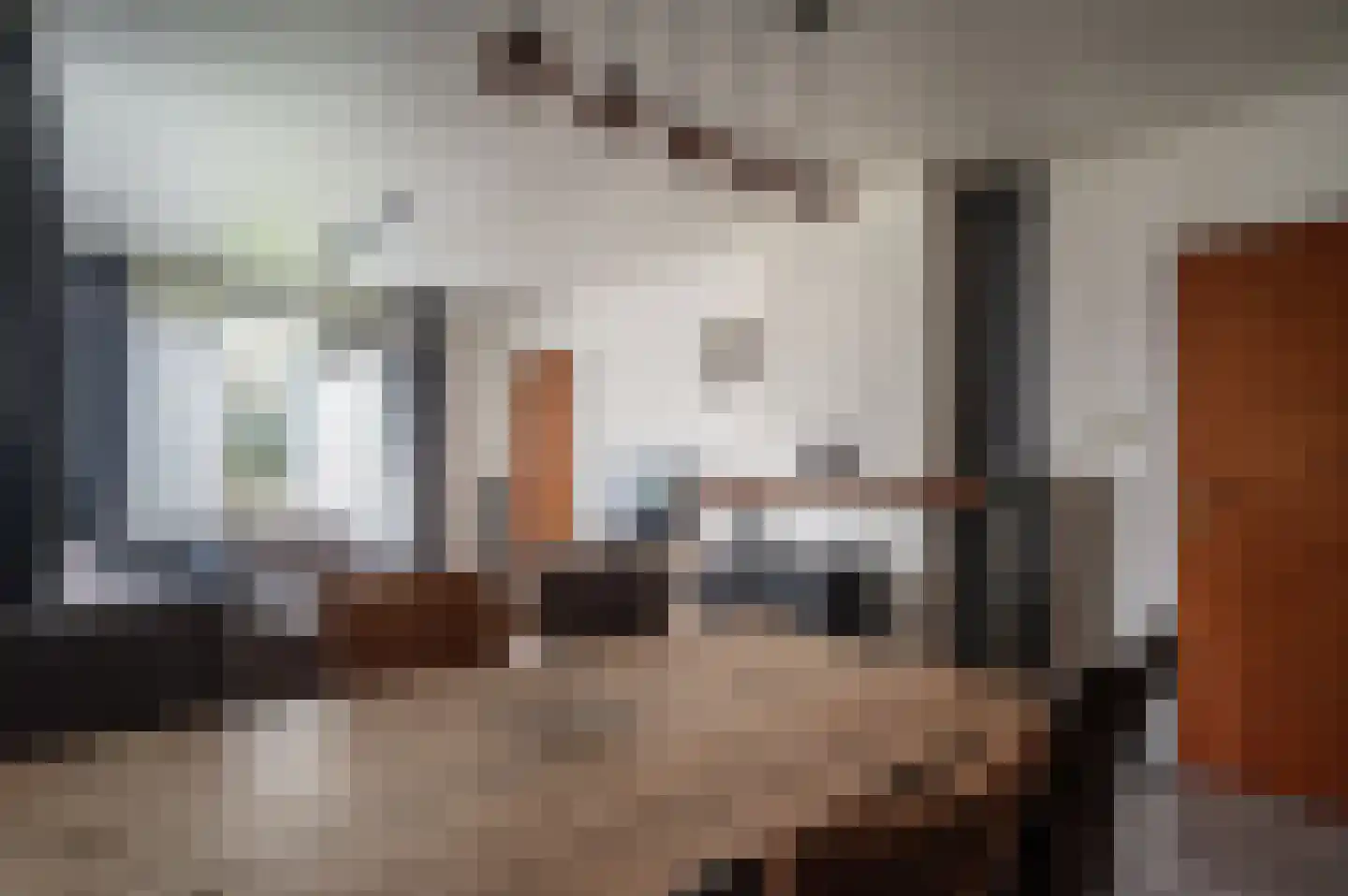 Bergerslag 27 Staphorst thumbnail 6