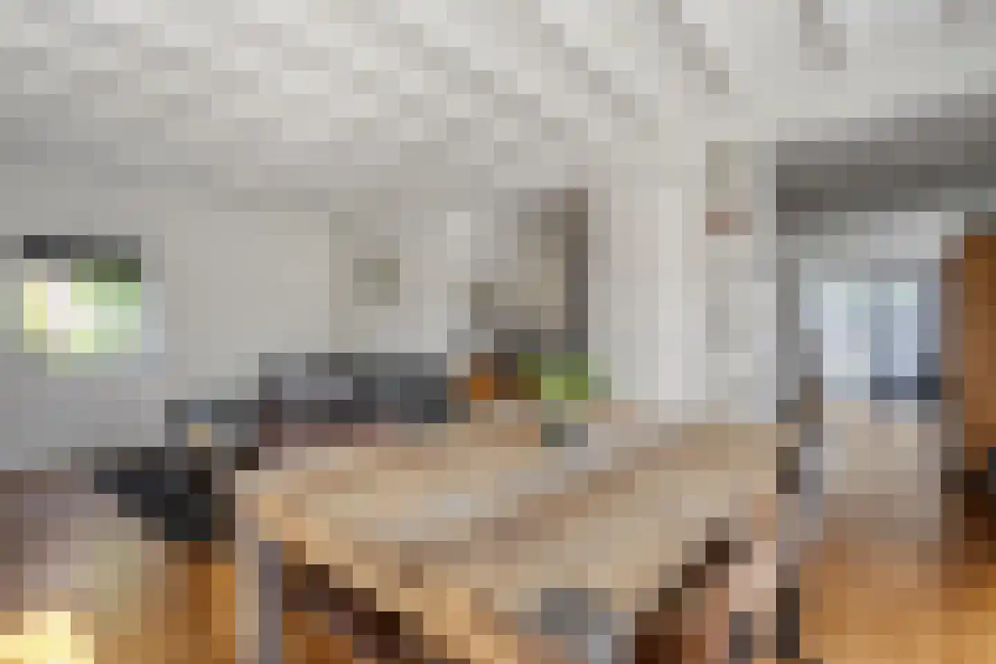 Bergerslag 37 Staphorst thumbnail 14