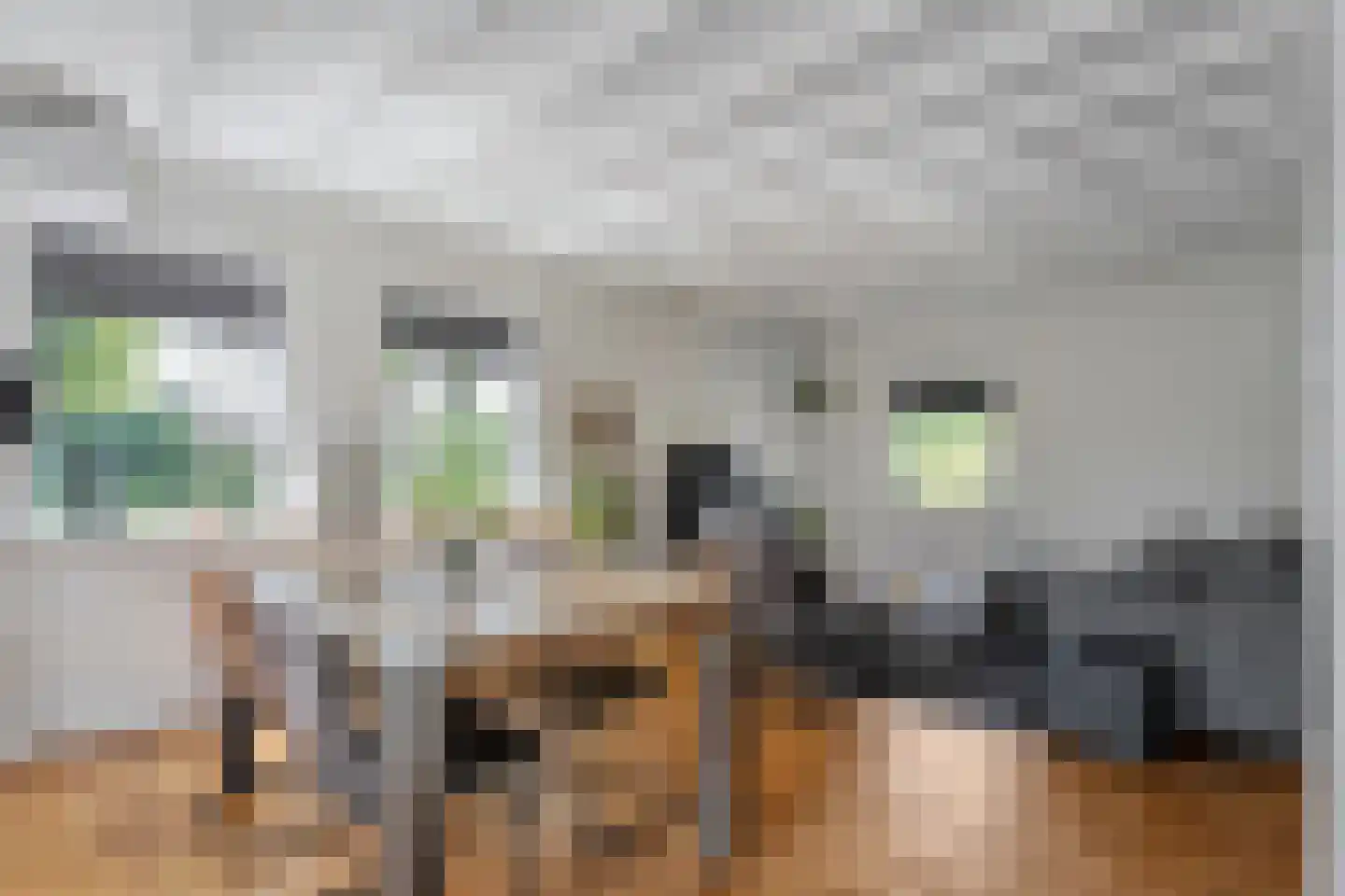 Bergerslag 37 Staphorst thumbnail 17