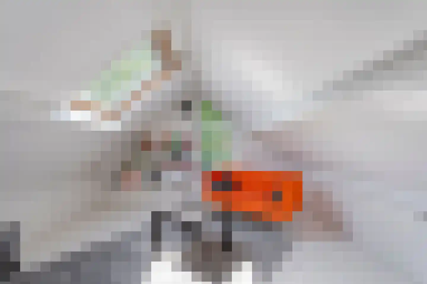 Bergerslag 37 Staphorst thumbnail 39