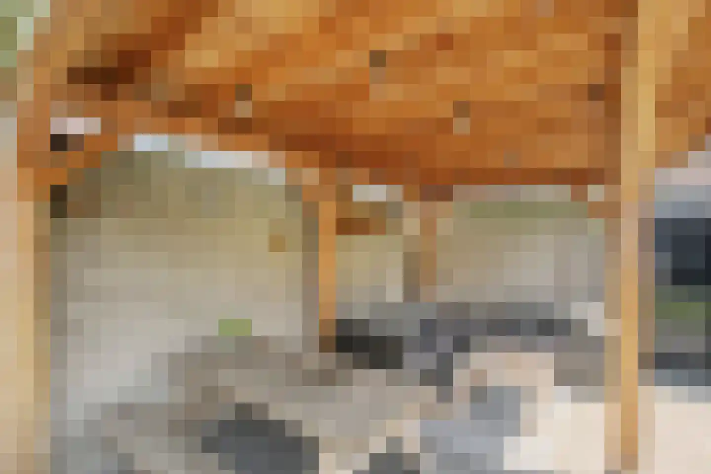Bergerslag 37 Staphorst thumbnail 7