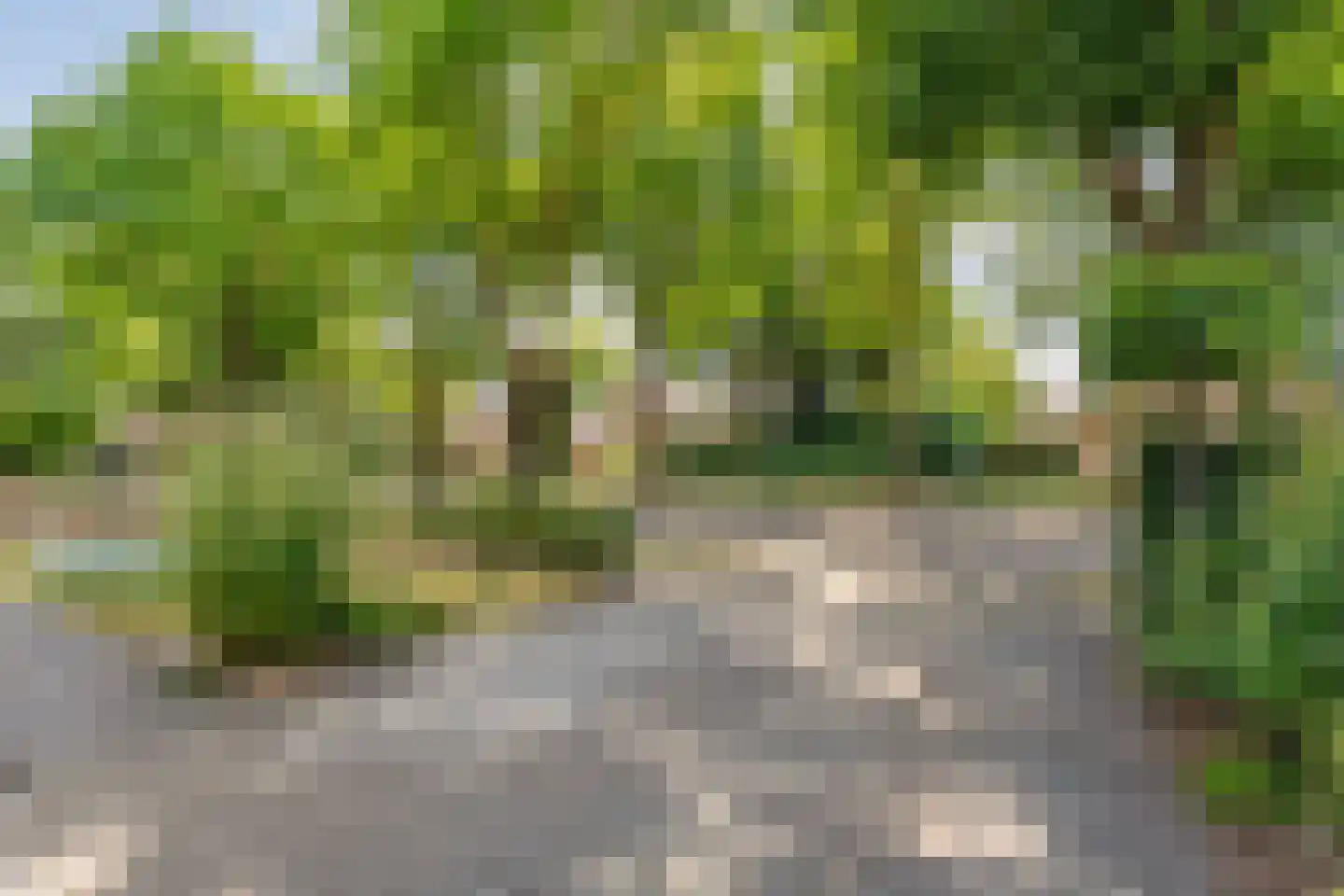 Bergerslag 37 Staphorst thumbnail 8