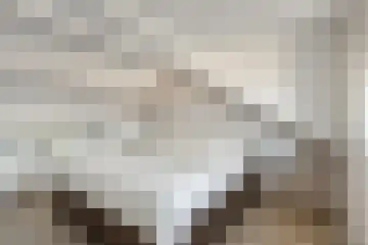Bergerveldweg 11 Berg en Terblijt thumbnail 23
