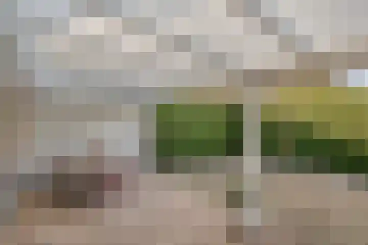Bergerveldweg 11 Berg en Terblijt thumbnail 25