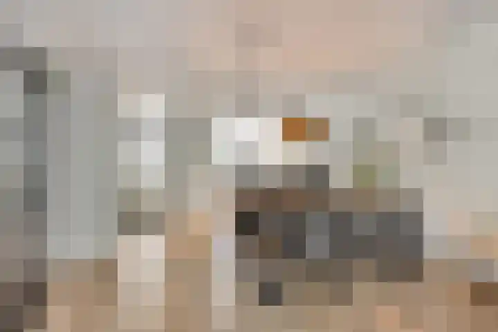 Bergerveldweg 11 Berg en Terblijt thumbnail 5