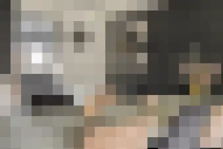 Bergerveste 3 Nieuwegein thumbnail 11