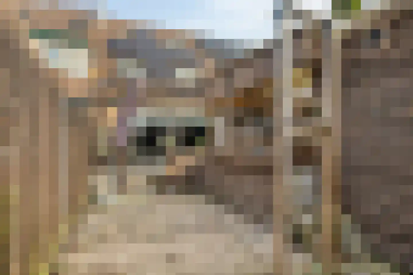 Bergerveste 3 Nieuwegein thumbnail 29