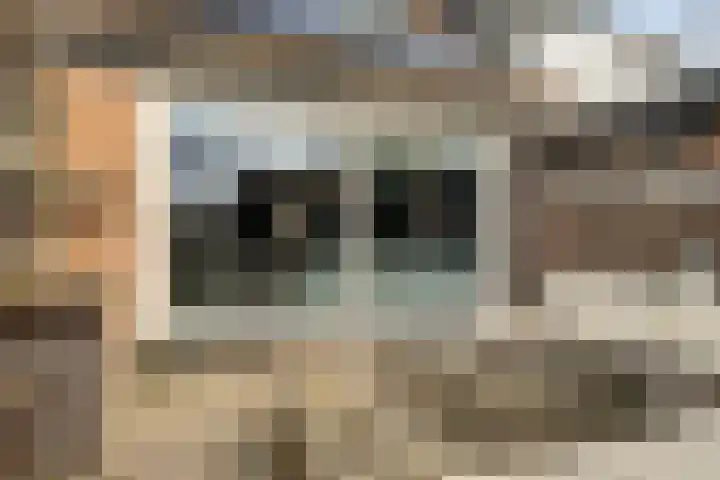 Bergerveste 3 Nieuwegein thumbnail 30