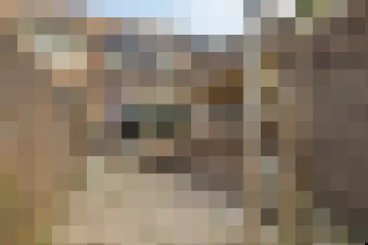Bergerveste 3 Nieuwegein thumbnail 31
