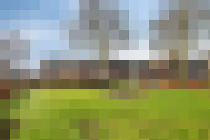 Bergerveste 3 Nieuwegein thumbnail 36