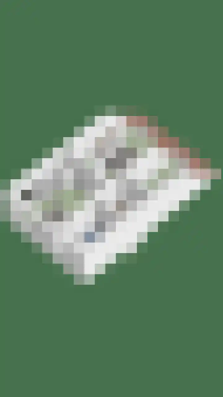 Bergerveste 3 Nieuwegein thumbnail 39