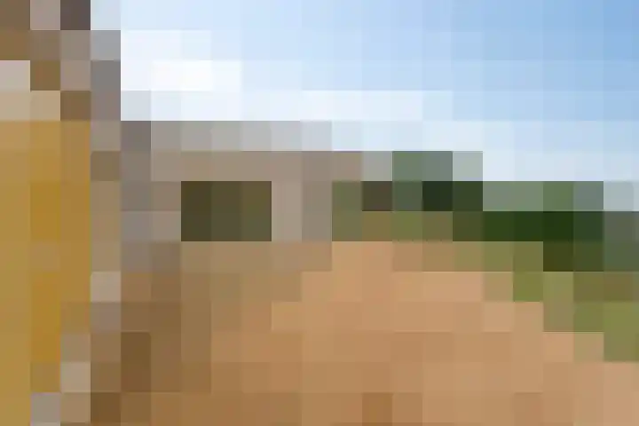 Bergervliet 44 Berg en Terblijt thumbnail 24