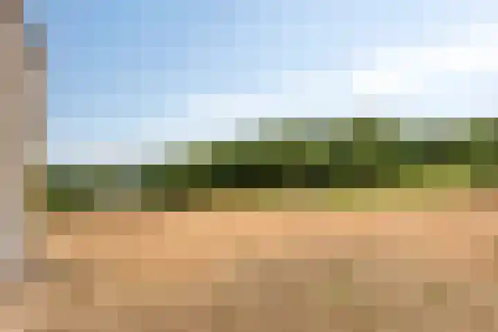 Bergervliet 44 Berg en Terblijt thumbnail 25