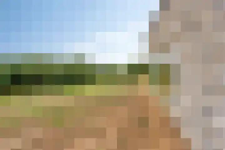 Bergervliet 44 Berg en Terblijt thumbnail 26