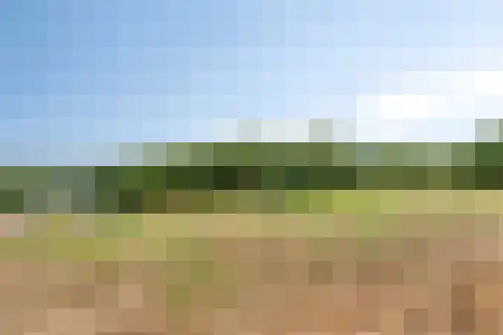 Bergervliet 44 Berg en Terblijt thumbnail 27