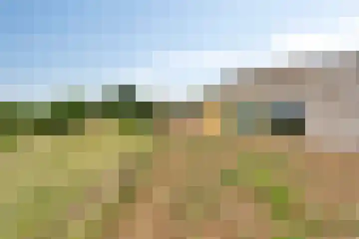 Bergervliet 44 Berg en Terblijt thumbnail 28