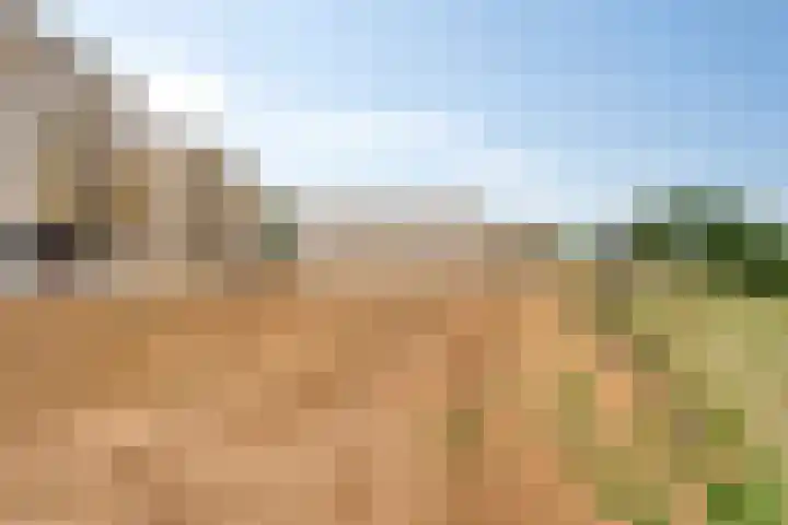 Bergervliet 44 Berg en Terblijt thumbnail 29
