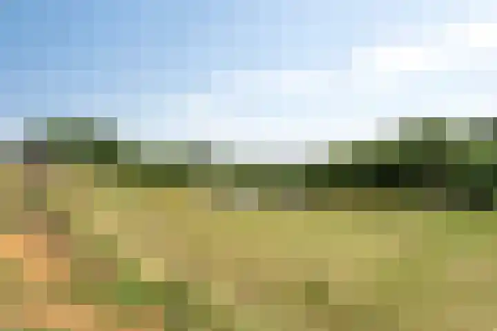 Bergervliet 44 Berg en Terblijt thumbnail 31