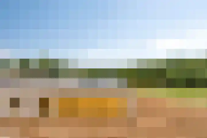 Bergervliet 44 Berg en Terblijt thumbnail 33